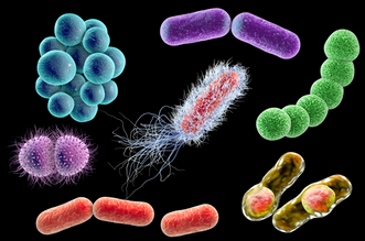 檢測細菌微生物的儀器都有哪些？